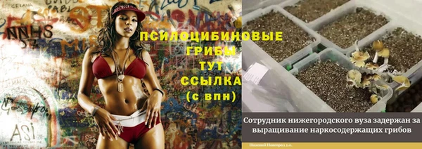 ешки Балахна