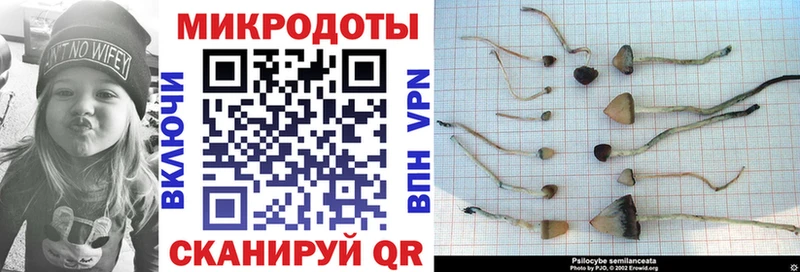 Псилоцибиновые грибы мицелий  OMG сайт  Губкин 